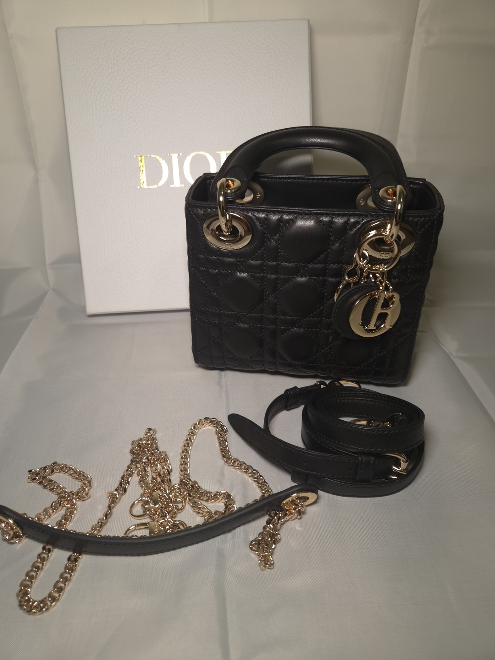 Christian Dior Black Lady Dior Mini Tote with Gold Hardware